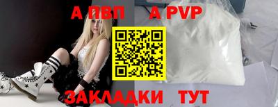 ешки Кингисепп