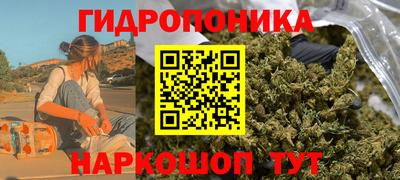 ПСИЛОЦИБИНОВЫЕ ГРИБЫ Кимры