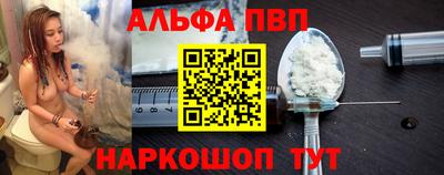 ешки Кингисепп
