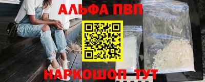 ешки Кингисепп