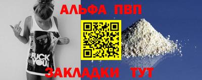 ешки Кингисепп