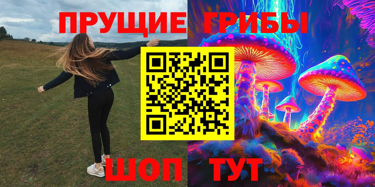 Галлюциногенные грибы Cubensis Кубинка